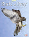 Bug Club Independent Non Fiction Year Two White A Birds of Prey Popular Titles Pearson Education Limited