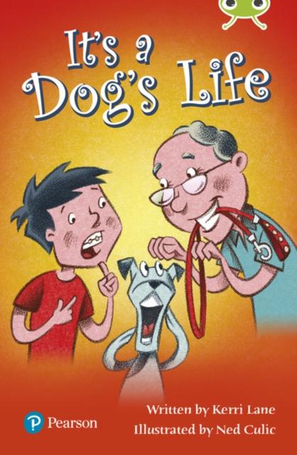 Bug Club Lime Plus B It's a Dog's Life Popular Titles Pearson Education Limited