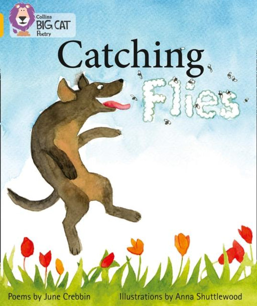 Catching Flies : Band 09/Gold Popular Titles HarperCollins Publishers