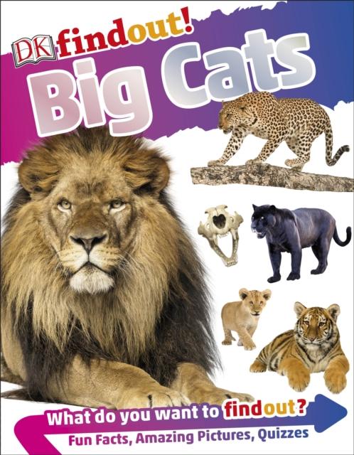 DKfindout! Big Cats Popular Titles Dorling Kindersley Ltd