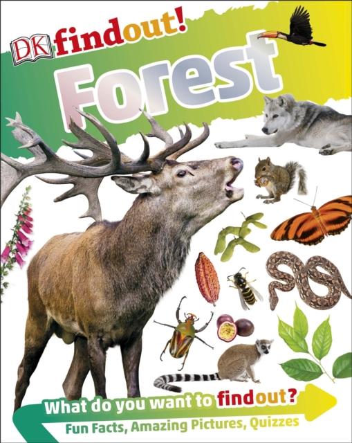 DKfindout! Forest Popular Titles Dorling Kindersley Ltd