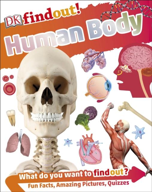 DKfindout! Human Body Popular Titles Dorling Kindersley Ltd