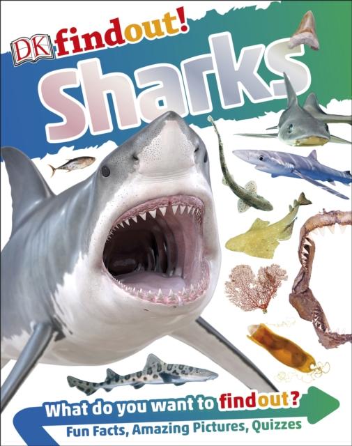 DKfindout! Sharks Popular Titles Dorling Kindersley Ltd