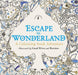 Escape to Wonderland: A Colouring Book Adventure Popular Titles Penguin Random House Children's UK