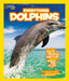 Everything: Dolphins Popular Titles HarperCollins Publishers