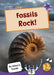 Fossils Rock! : (Purple Non-Fiction Early Reader) Popular Titles Maverick Arts Publishing