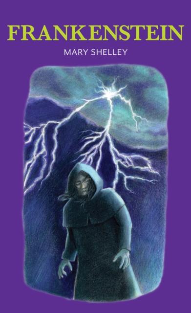 Frankenstein Popular Titles Baker Street Press