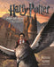 Harry Potter: A Pop-Up Book Popular Titles Insight Editions