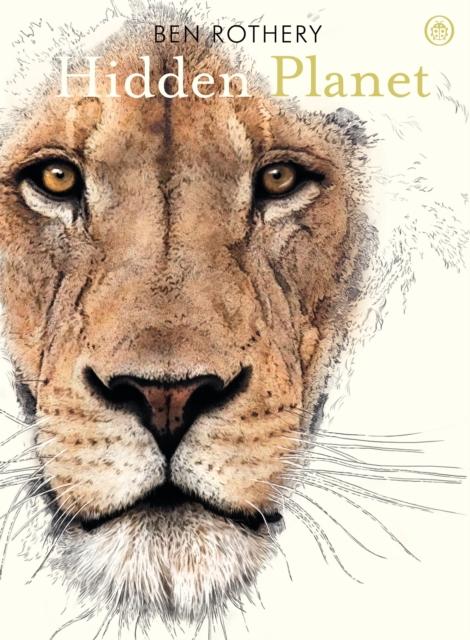 Hidden Planet : An Illustrator's Love Letter to Planet Earth Popular Titles Penguin Random House Children's UK