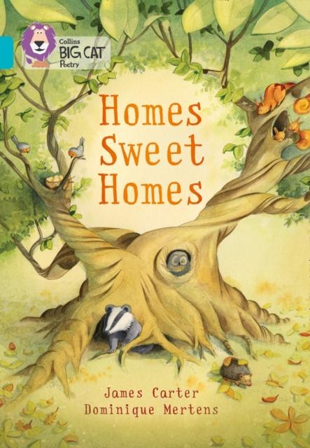 Homes Sweet Homes : Band 07/Turquoise Popular Titles HarperCollins Publishers