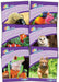 Jolly Phonics Readers Level 5, Our World Popular Titles Jolly Learning Ltd