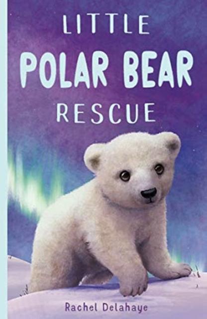 Little Polar Bear Rescue Popular Titles Little Tiger Press Group