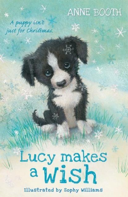 Lucy Makes a Wish Popular Titles Oxford University Press