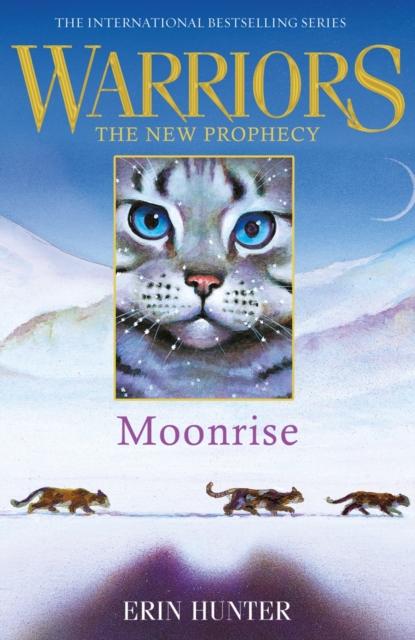 MOONRISE Popular Titles HarperCollins Publishers