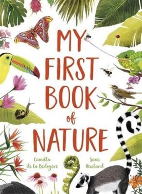 My First Book of Nature Popular Titles Templar Publishing