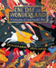 One Day in Wonderland : A Celebration of Lewis Carroll's Alice Popular Titles Pan Macmillan