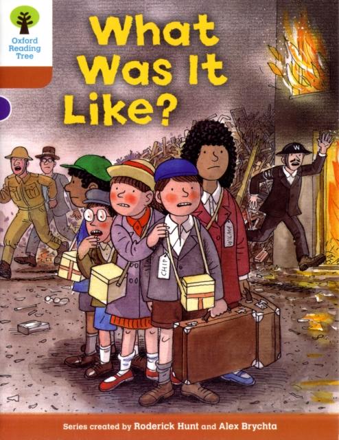 Oxford Reading Tree: Level 8: More Stories: What Was It Like