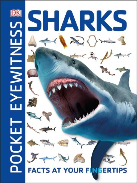 Pocket Eyewitness Sharks : Facts at Your Fingertips Popular Titles Dorling Kindersley Ltd