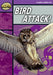 Rapid Reading: Bird Attack! (Stage 1, Level B) Popular Titles Pearson Education Limited