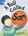 Rigby Star Guided 1 Blue Level: A Ball Called Sam Pupil Book (single) Popular Titles Pearson Education Limited