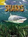 Rigby Star Independent Year 2 Gold Non Fiction Sharks Single Popular Titles Pearson Education Limited