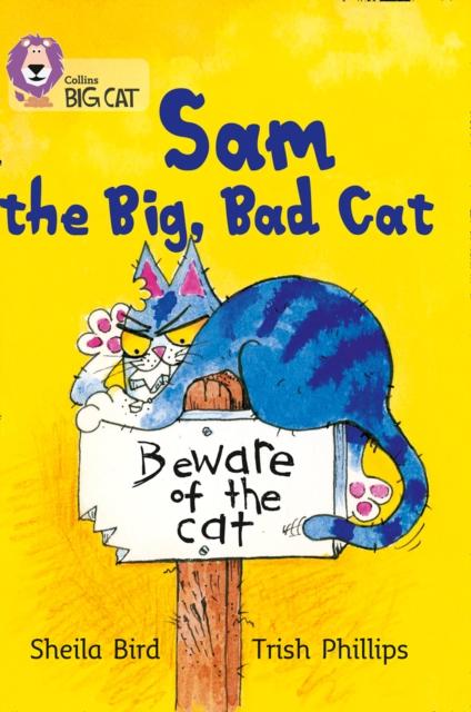 Sam and the Big Bad Cat : Band 03/Yellow Popular Titles HarperCollins Publishers