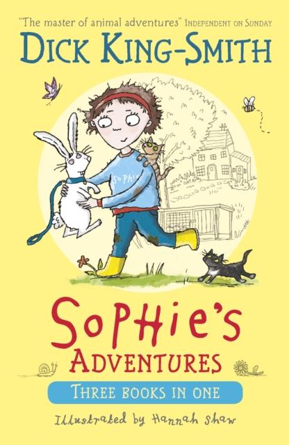 Sophie's Adventures Popular Titles Walker Books Ltd