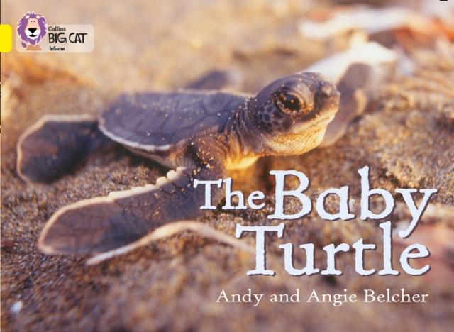 The Baby Turtle : Band 03/Yellow Popular Titles HarperCollins Publishers