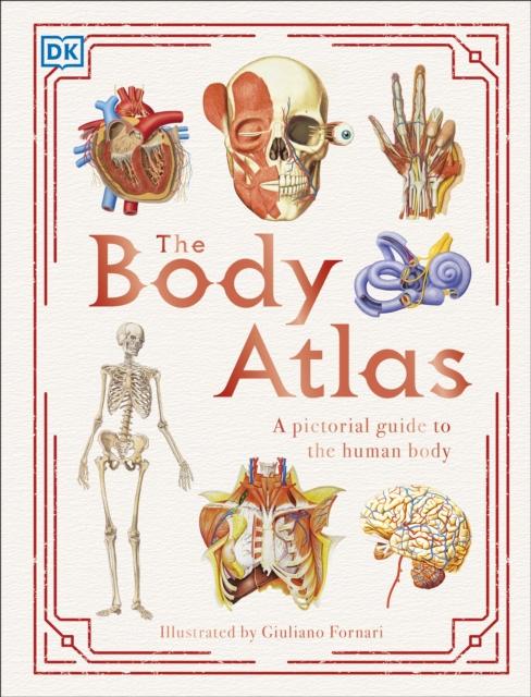 The Body Atlas : A Pictorial Guide to the Human Body Popular Titles Dorling Kindersley Ltd