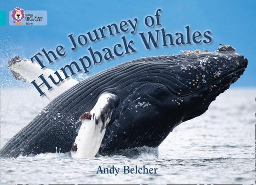 The Journey of Humpback Whales : Band 07/Turquoise Popular Titles HarperCollins Publishers
