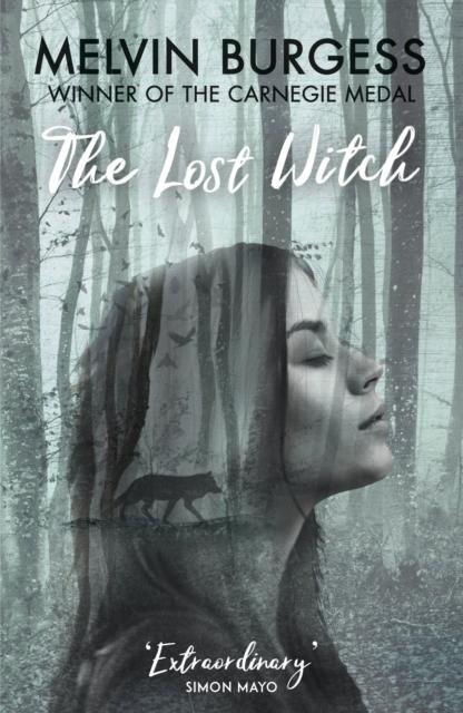 The Lost Witch Popular Titles Andersen Press Ltd