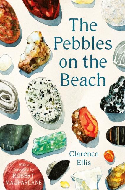 The Pebbles on the Beach Popular Titles Faber & Faber
