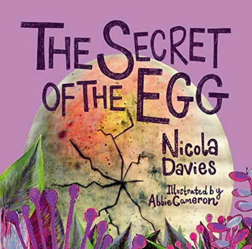 The Secret of the Egg Popular Titles Graffeg Limited