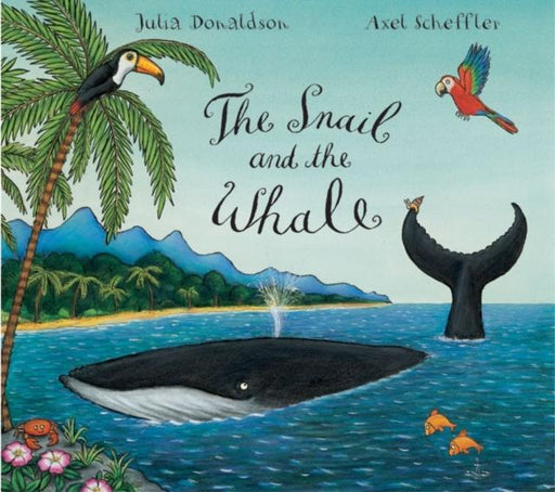The Snail and the Whale Big Book Popular Titles Pan Macmillan
