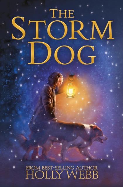 The Storm Dog Popular Titles Little Tiger Press Group
