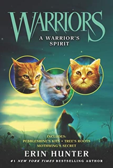 Warriors: A Warrior's Spirit Popular Titles HarperCollins Publishers Inc