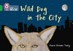 Wild Dog In The City : Band 05/Green Popular Titles HarperCollins Publishers