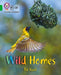 Wild Homes : Band 05/Green Popular Titles HarperCollins Publishers