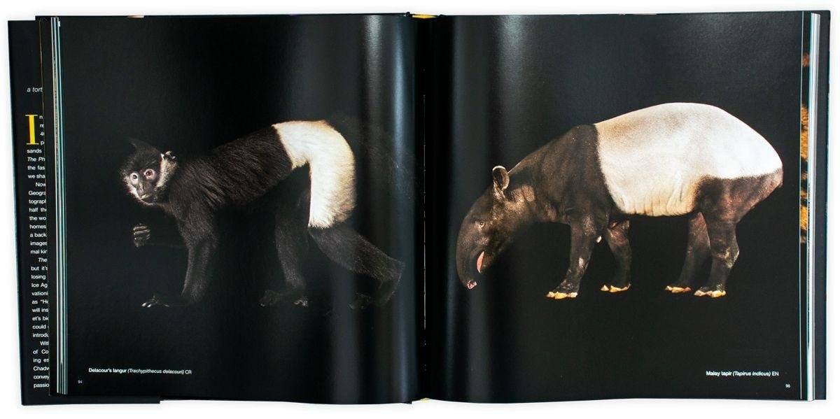 National Geographic The Photo Ark: One Man's Quest to Document the World's Animals Young Adult National Geographic Society